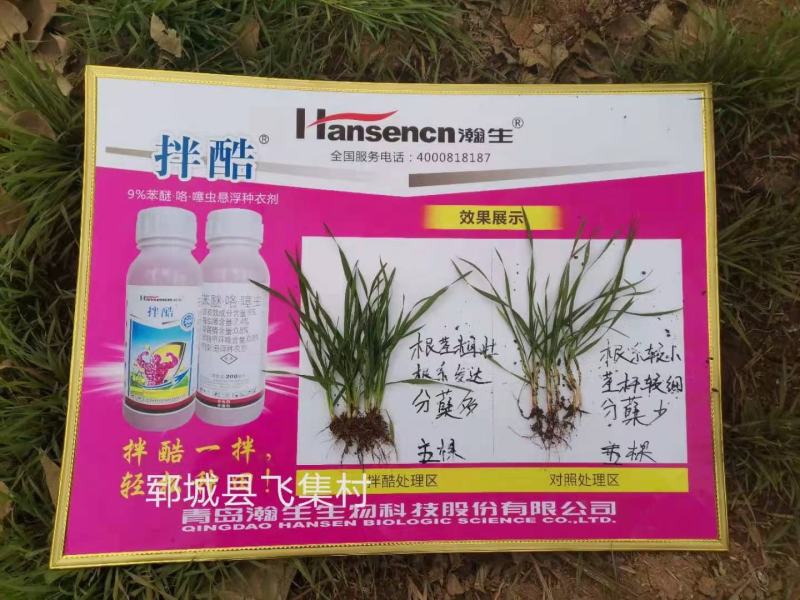 小麦拌种剂拌酷苯米甲环唑咯菌腈噻虫嗪9%杀虫杀菌剂