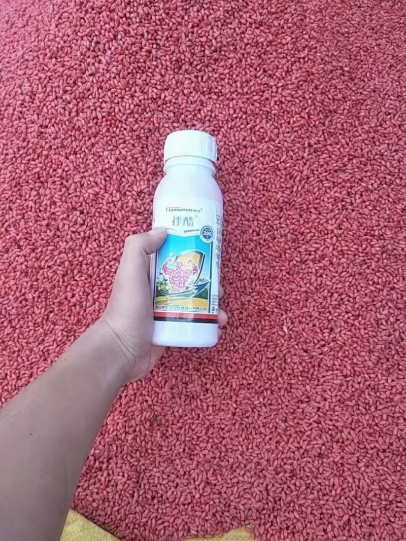 小麦拌种剂拌酷苯米甲环唑咯菌腈噻虫嗪9%杀虫杀菌剂