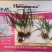 小麦拌种剂拌酷苯米甲环唑咯菌腈噻虫嗪9%杀虫杀菌剂