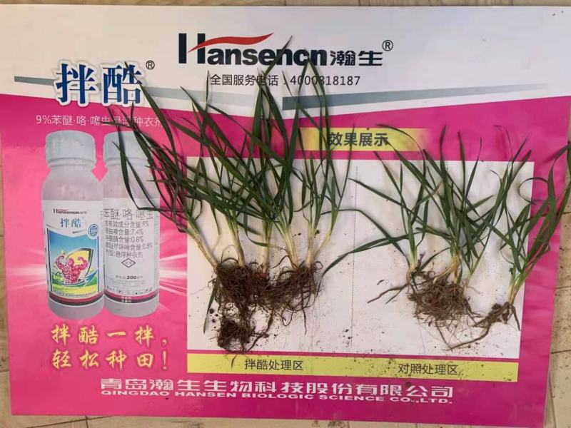小麦拌种剂拌酷苯米甲环唑咯菌腈噻虫嗪9%杀虫杀菌剂