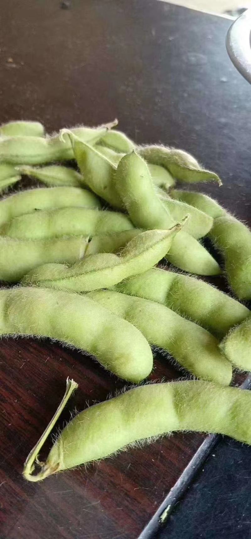 毛豆大量上市产地直发一手货源，价格美丽