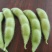 毛豆大量上市产地直发一手货源，价格美丽