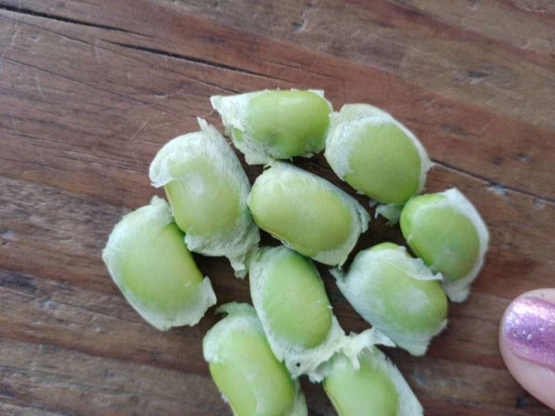 毛豆大量上市产地直发一手货源，价格美丽