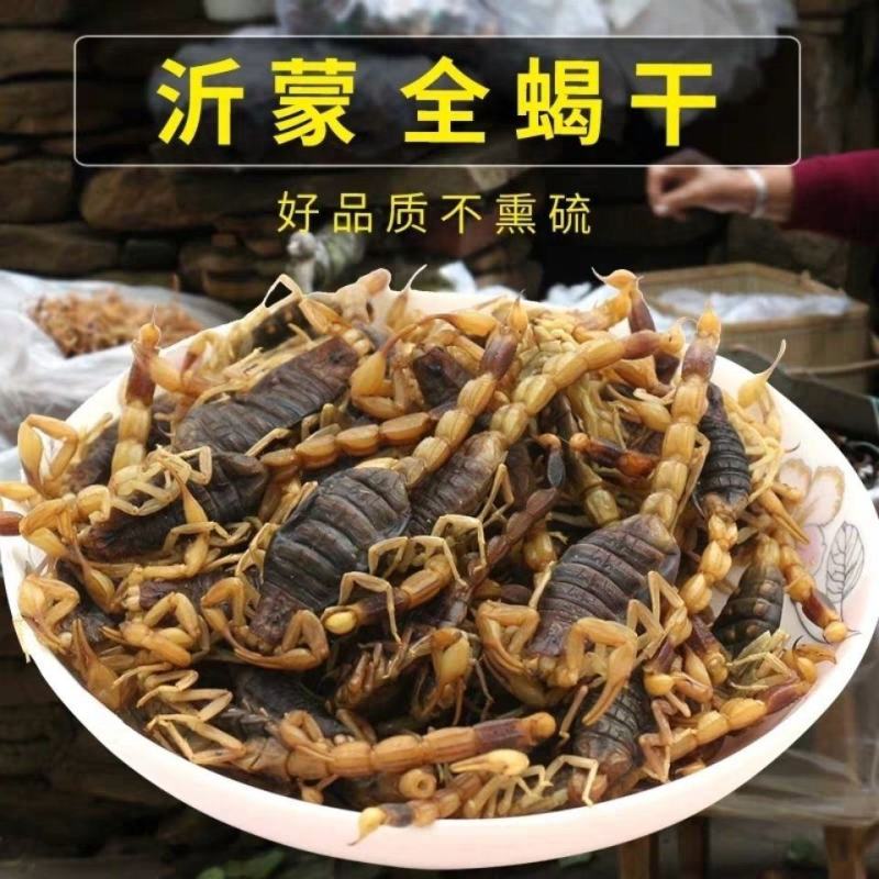 全蝎中药材全蝎蝎子无硫***各种规格中药材包邮
