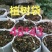 【9折包邮】加厚抗老化无纺布种植袋植树袋果蔬种植袋