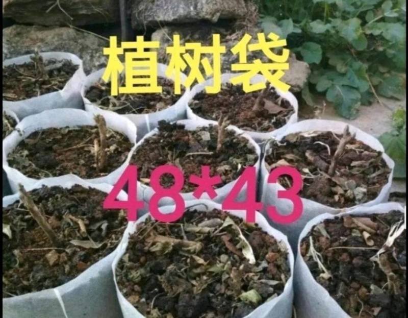 【9折包邮】加厚抗老化无纺布种植袋植树袋果蔬种植袋