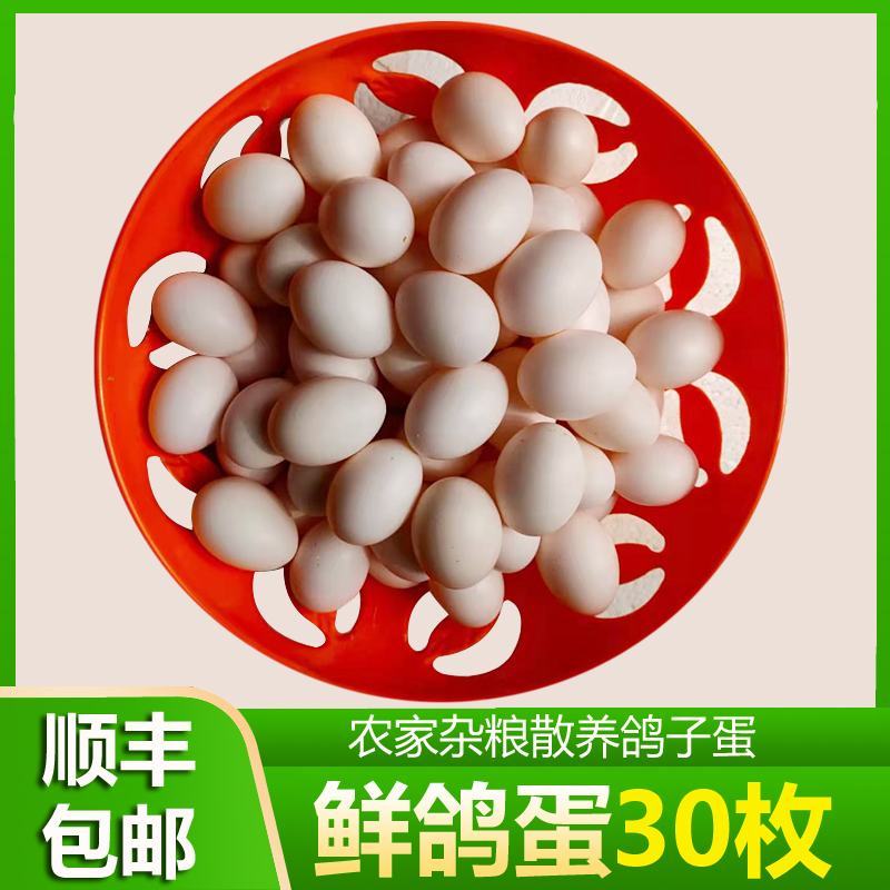 新鲜鸽子蛋宝宝孕妇辅食现捡现发批发量大详谈