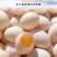 新鲜鸽子蛋宝宝孕妇辅食现捡现发批发量大详谈