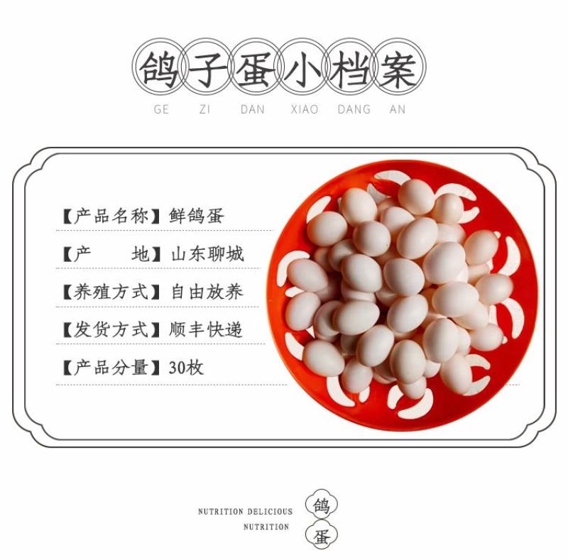 新鲜鸽子蛋宝宝孕妇辅食现捡现发批发量大详谈