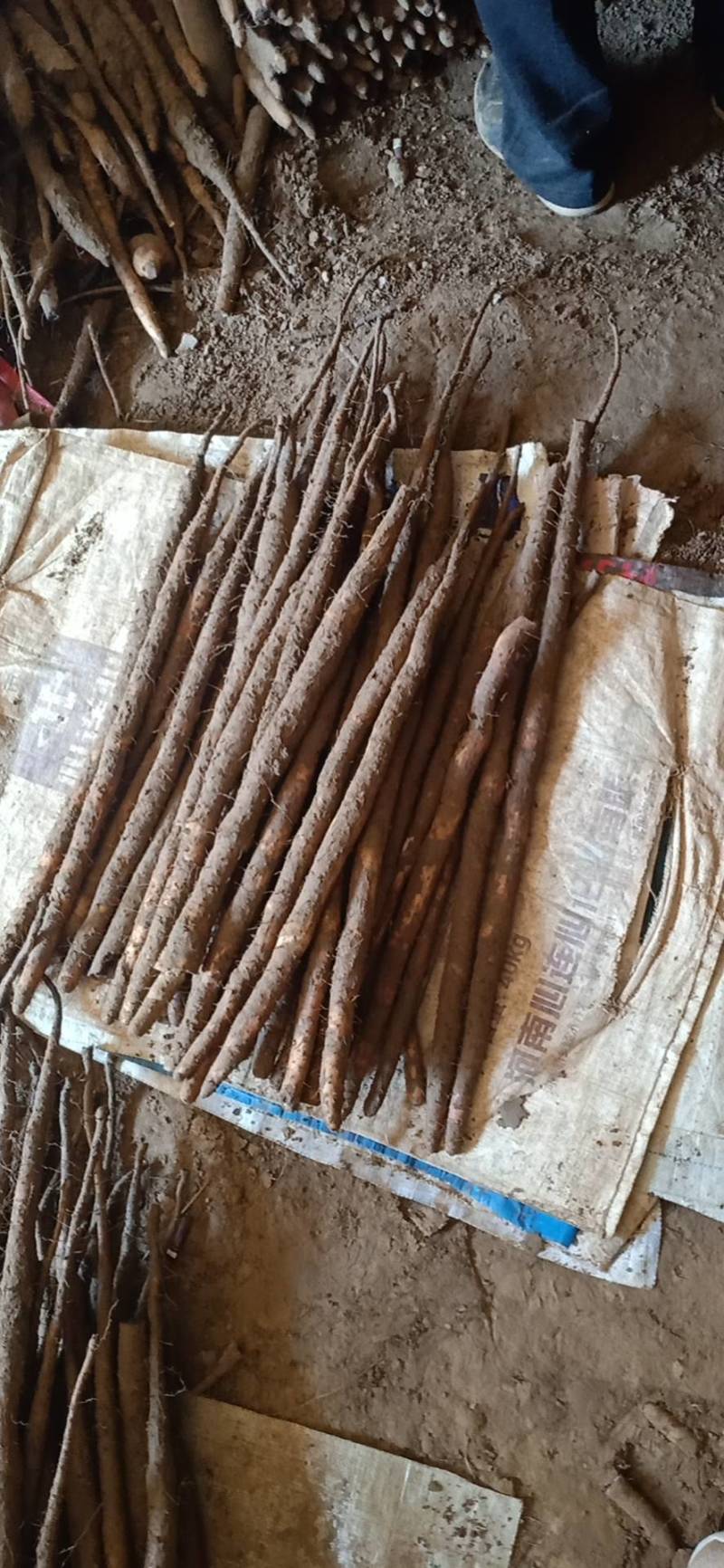 【一件代发】自产自销精品小白嘴，紫药，加工个种包装。