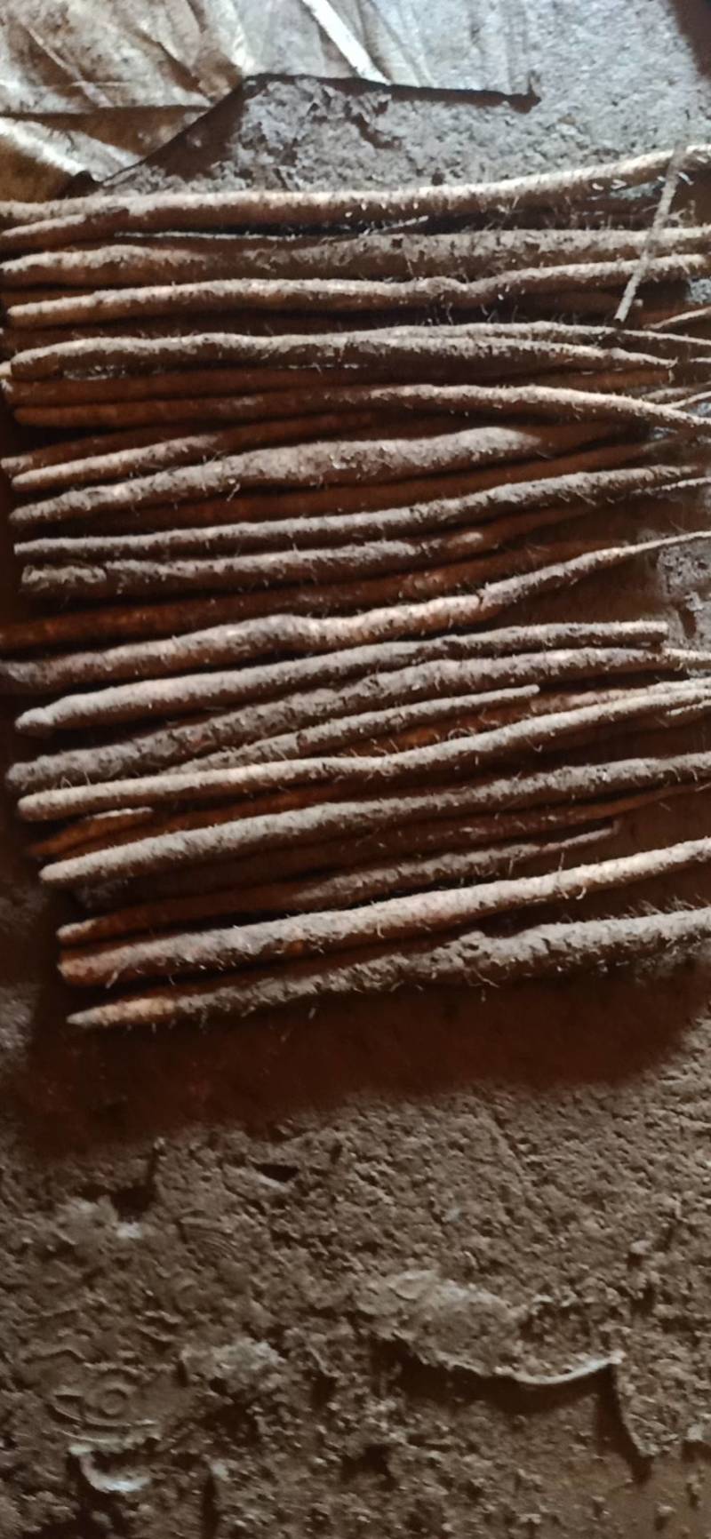 【一件代发】自产自销精品小白嘴，紫药，加工个种包装。