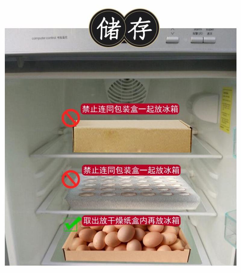 新鲜鸽子蛋宝宝孕妇辅食现捡现发批发量大详谈