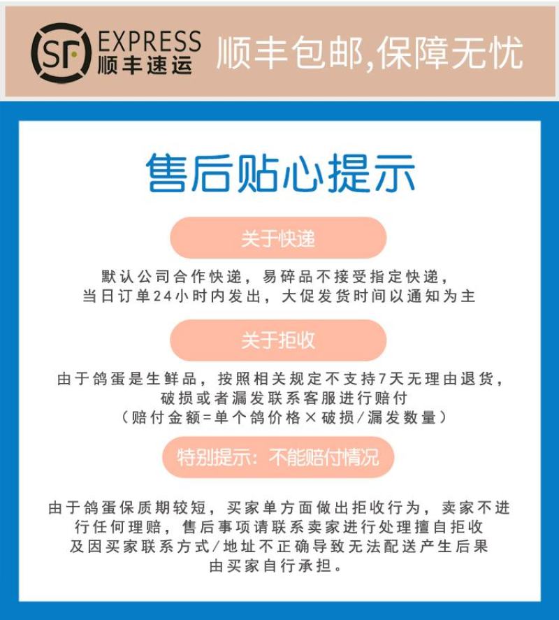 新鲜鸽子蛋宝宝孕妇辅食现捡现发批发量大详谈
