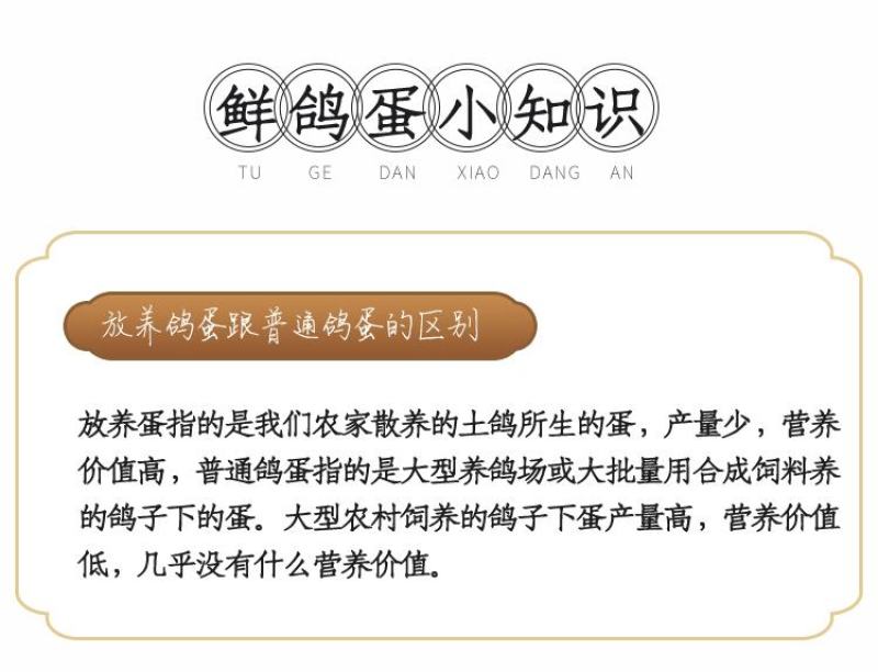 新鲜鸽子蛋宝宝孕妇辅食现捡现发批发量大详谈