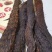 阿拉善肉苁蓉，甘蒙交界，西北特产，甘肃特产，男人大补