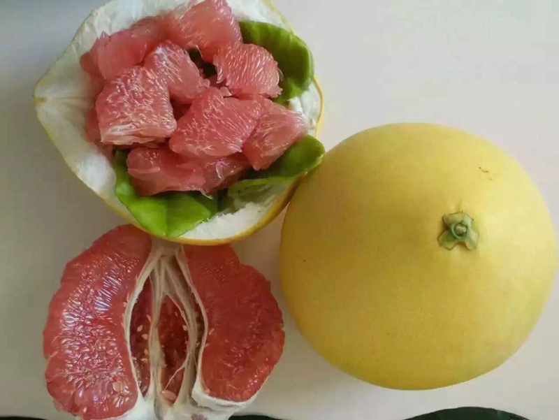 正宗平和琯溪柚子