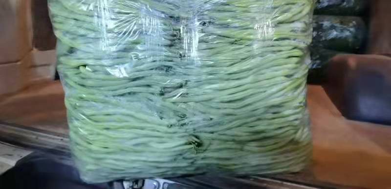 云南红河无筋豆大量上市基地直销电商对接一件代发