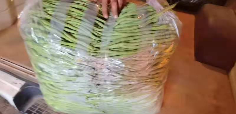云南红河无筋豆大量上市基地直销电商对接一件代发