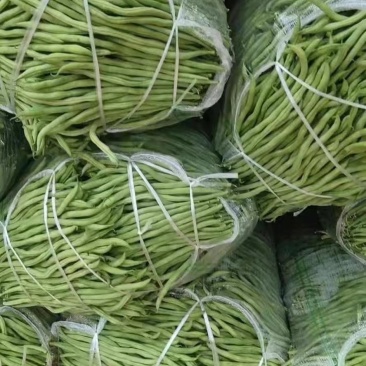 云南红河无筋豆大量上市基地直销电商对接一件代发