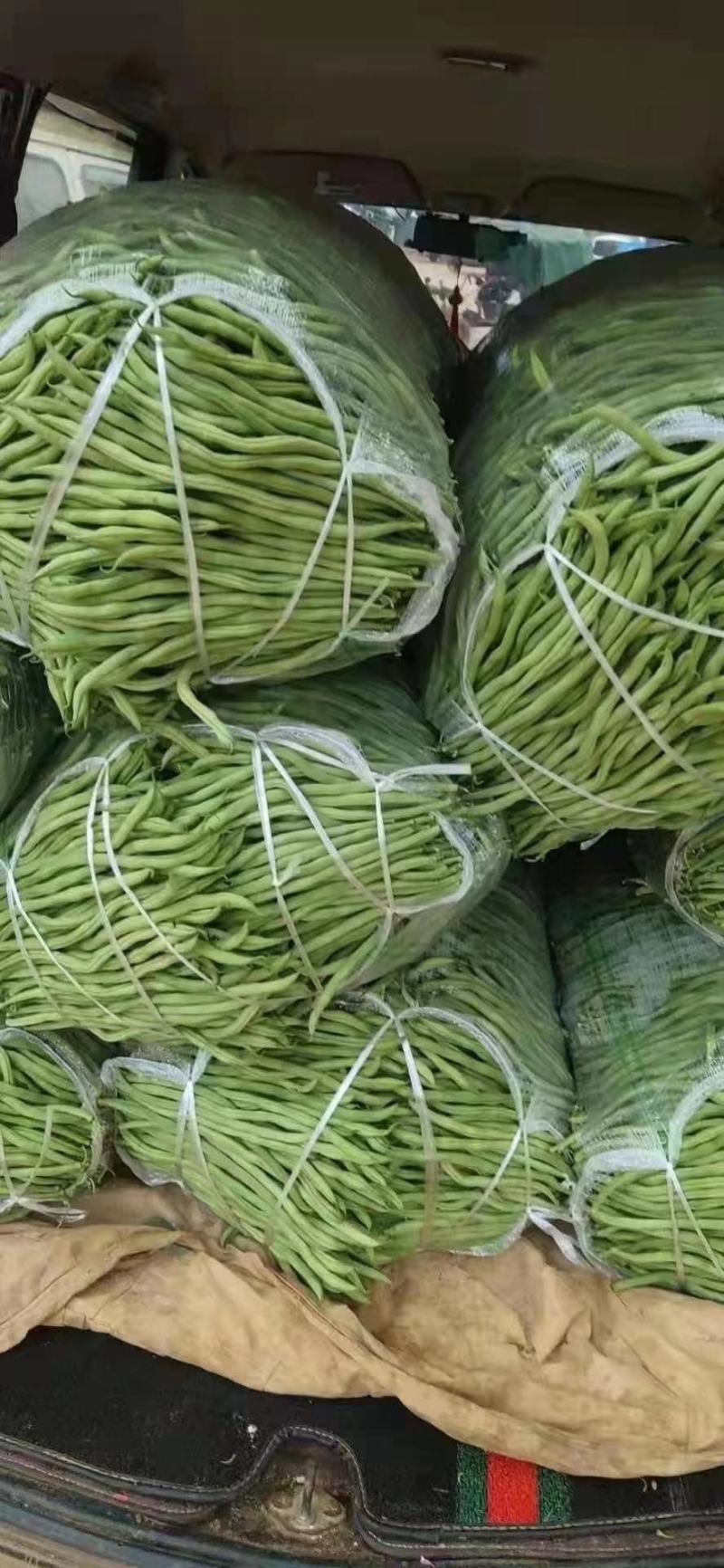 云南红河无筋豆大量上市基地直销电商对接一件代发