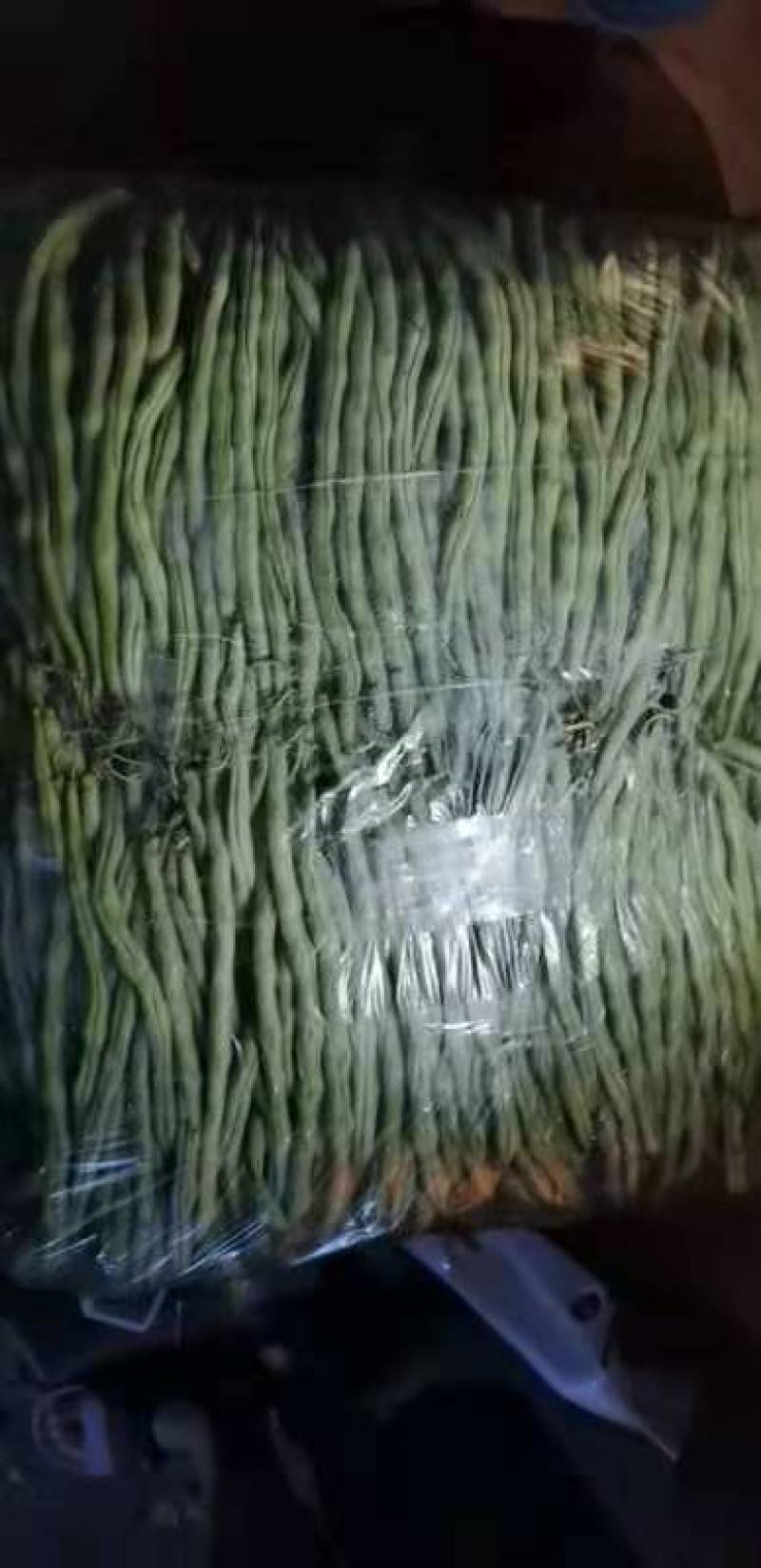 云南红河无筋豆大量上市基地直销电商对接一件代发