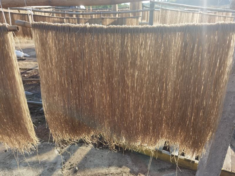 正宗纯手工红薯粉条粉质保障口感劲道大量现货价格美丽