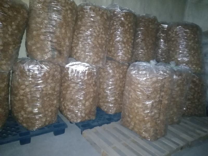 选躲滑子菇福建古田食用菌批发市场批发滑子菇，专卖更专业。