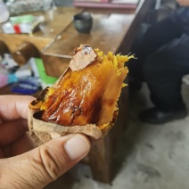 榴莲蜜薯，糖度60以上，**甜。窖藏