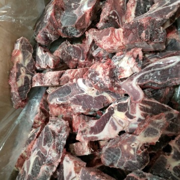 纯干多肉牛脖骨