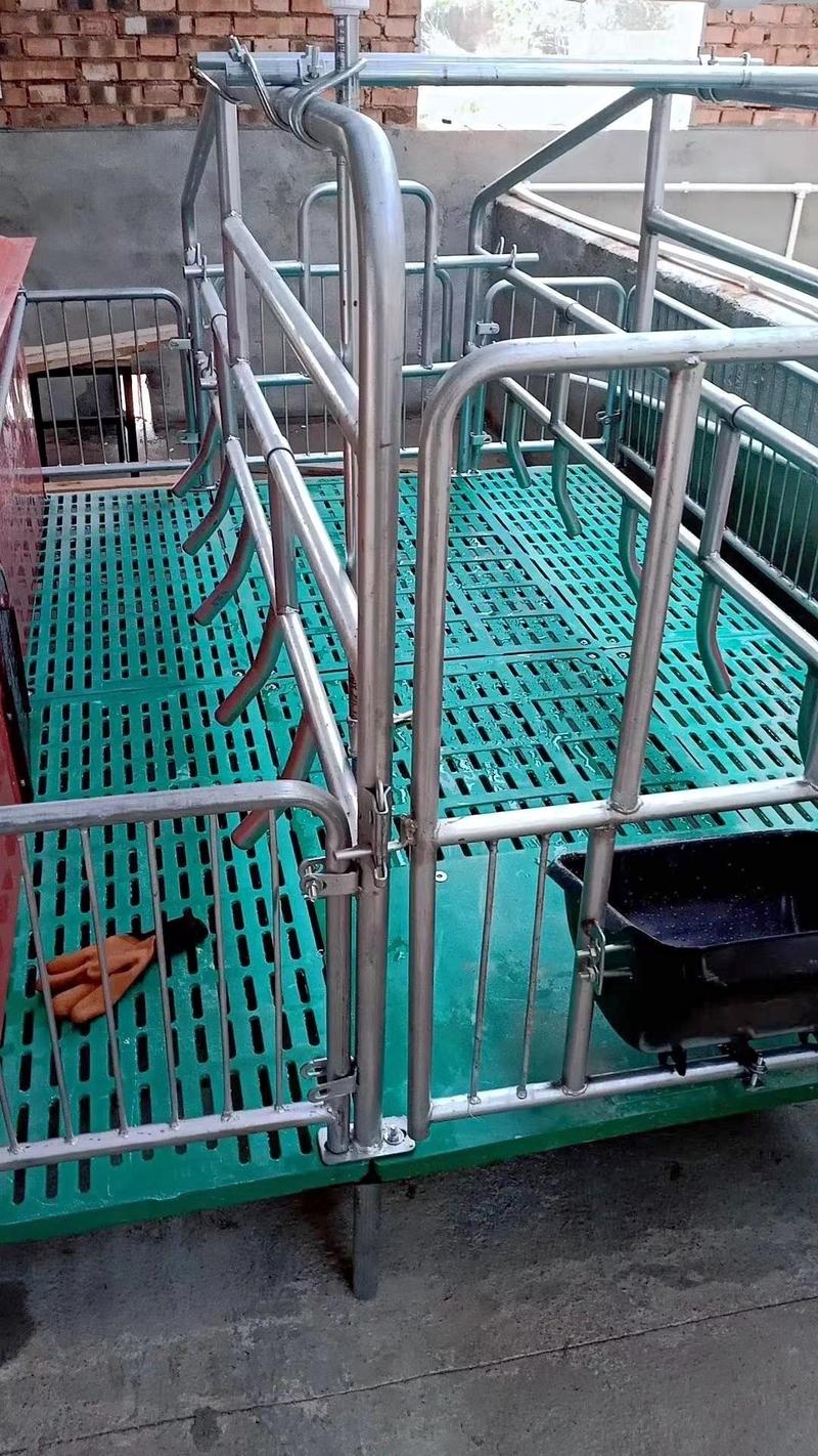 落地式母猪产床厂家单体母猪产床分娩床猪场定位栏限位栏