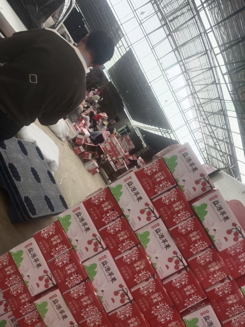大凉山丑苹果上市了