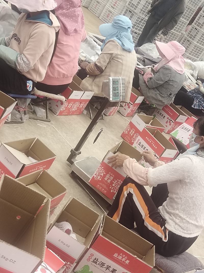 大凉山丑苹果上市了