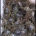 湖北洪湖精品大闸蟹，一件起批，一件也是批发价，保质保量