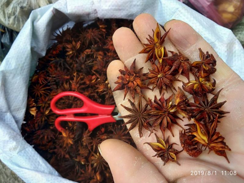 贵州铜仁非食用野生药材诱鱼醉鱼药用八角干品无杂质产地直发