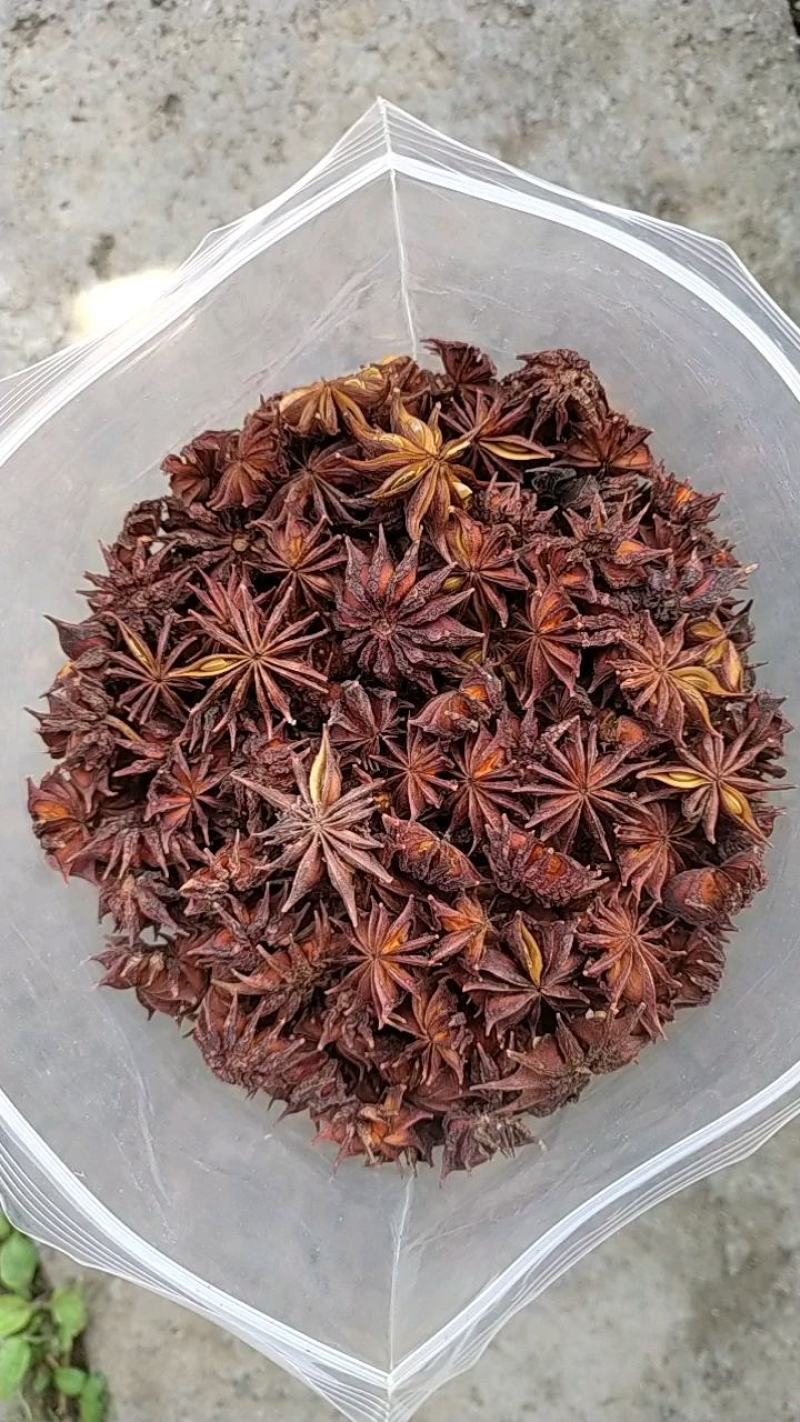 贵州铜仁非食用野生药材诱鱼醉鱼药用八角干品无杂质产地直发