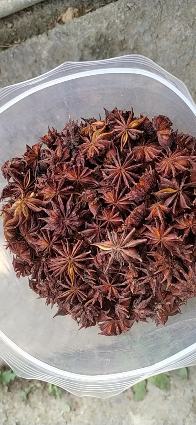 贵州铜仁非食用野生药材诱鱼醉鱼药用八角干品无杂质产地直发