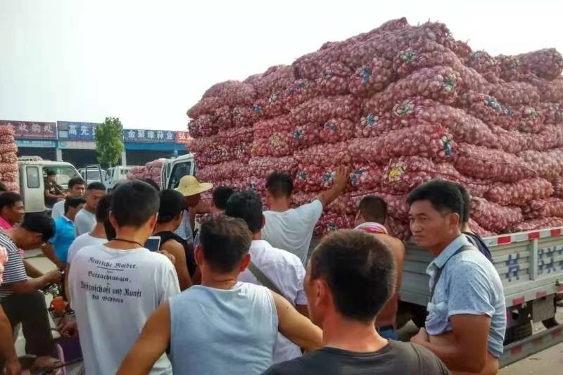 杞县优质大蒜河南大蒜产地直发品质保障量大优惠