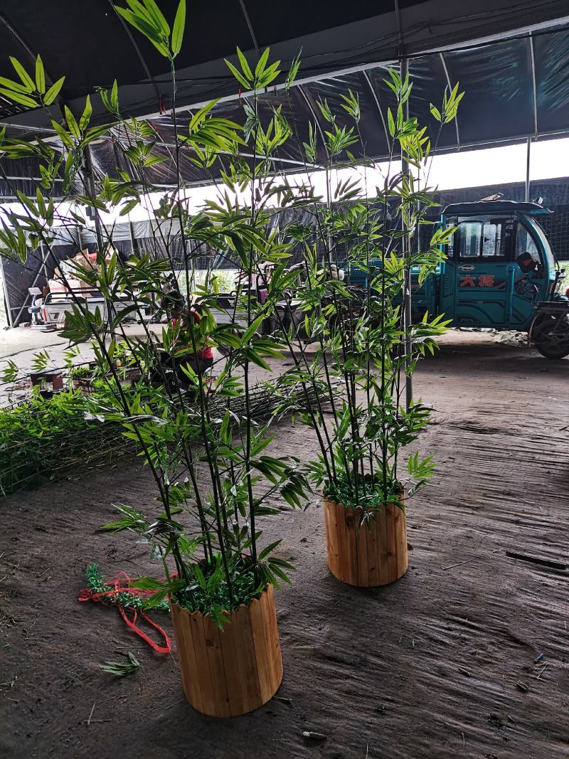 碳化防腐木花盆防腐竹花盆花箱异形花盆仿真竹子花盆种菜花盆