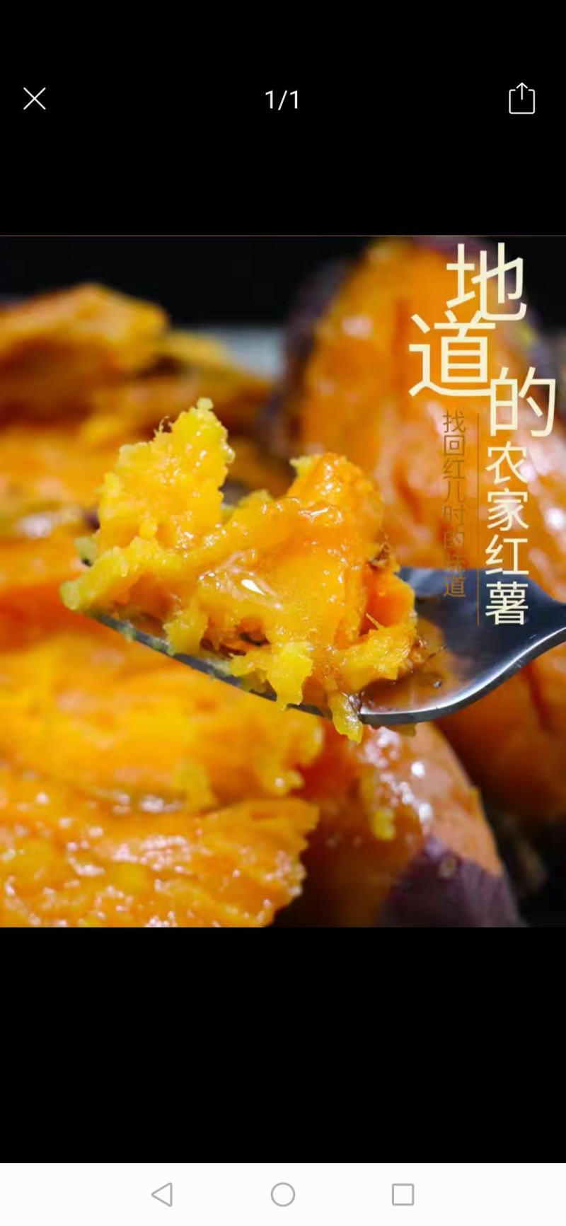 山东泰安红心王无丝口感细腻，香甜可口，一件代发质量保障