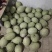 哈密瓜