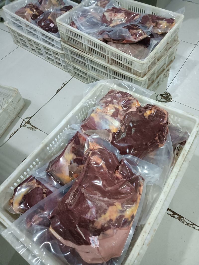 鲜马肉，天天现杀的鲜货，纯干的，一手货源，放心采购