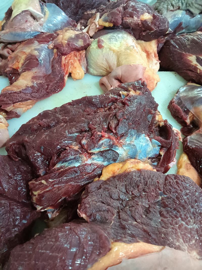 鲜马肉，天天现杀的鲜货，纯干的，一手货源，放心采购