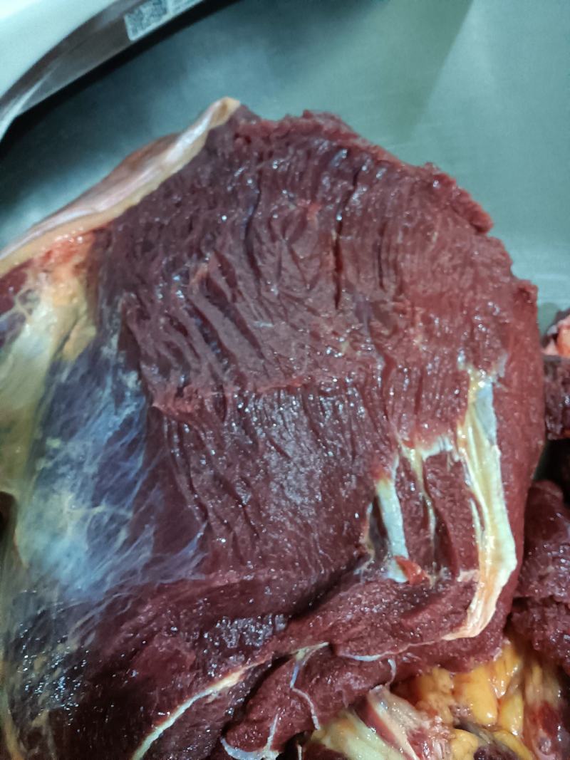 鲜马肉，天天现杀的鲜货，纯干的，一手货源，放心采购