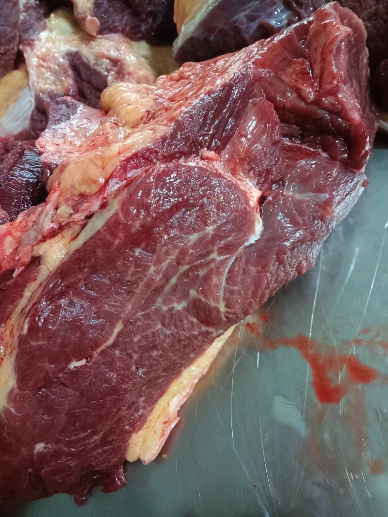 鲜马肉，天天现杀的鲜货，纯干的，一手货源，放心采购