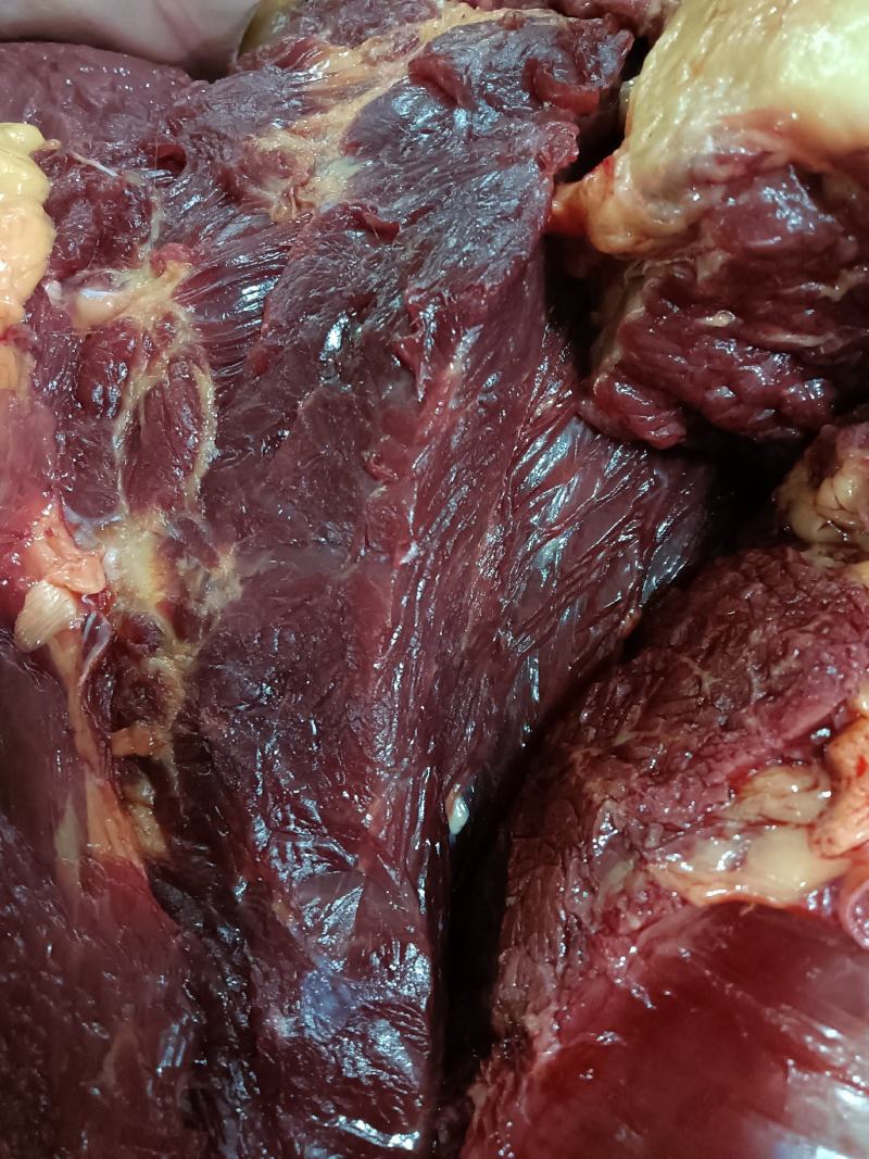鲜马肉，天天现杀的鲜货，纯干的，一手货源，放心采购
