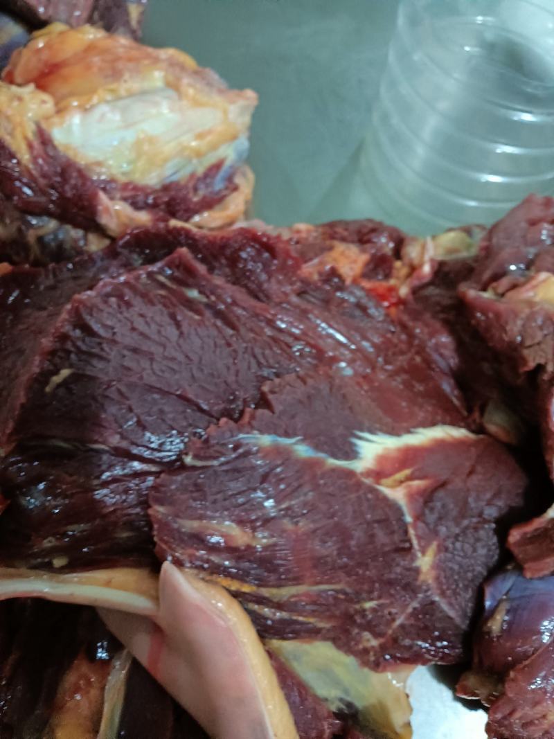 鲜马肉，天天现杀的鲜货，纯干的，一手货源，放心采购