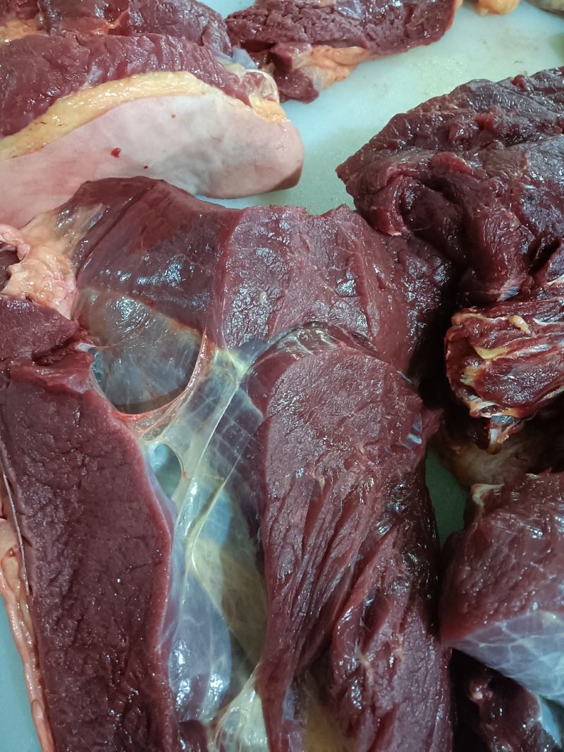鲜马肉，天天现杀的鲜货，纯干的，一手货源，放心采购