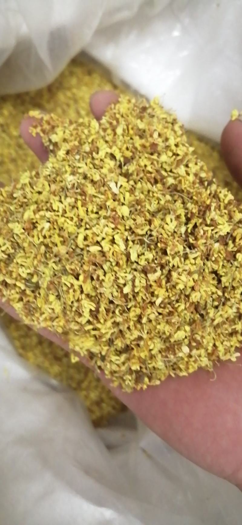 药用桂花干桂花广西桂花金桂花无硫无添加各种规格包邮