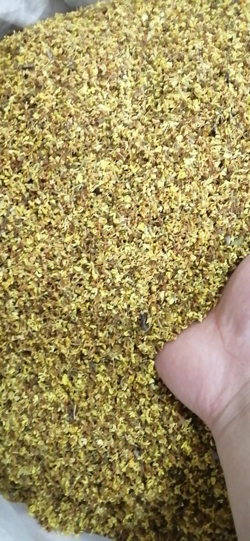 药用桂花干桂花广西桂花金桂花无硫无添加各种规格包邮