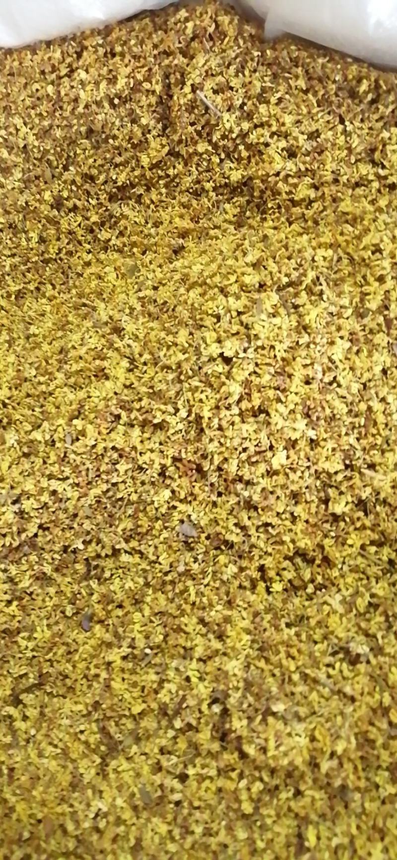 药用桂花干桂花广西桂花金桂花无硫无添加各种规格包邮